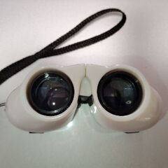 双眼鏡 10倍率の画像