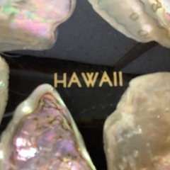 鍋敷き　アバロンシェル　ハワイ　ルサイト製トリベット　アワビの貝殻　飾り　置物の画像