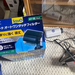 レッドビーシュリンプセットの画像