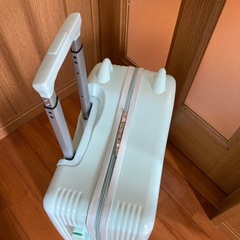 キャリーバッグの画像