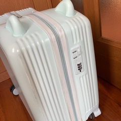 キャリーバッグの画像