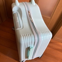 キャリーバッグの画像