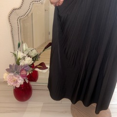 大きめサイズワンピース⓵
の画像