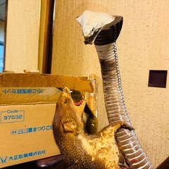 ヘビとマングースの置物の画像