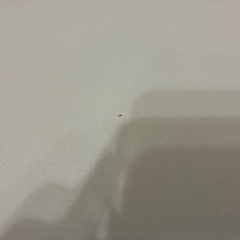 ニトリ ローテーブル ホワイトの画像