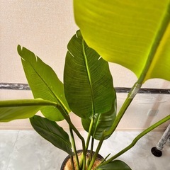 観葉植物風の造花  定価数万円の画像