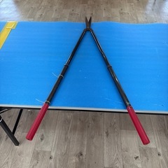 剪定ハサミ  植栽剪定  の画像