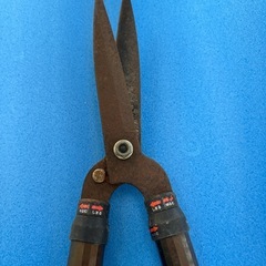 剪定ハサミ  植栽剪定  の画像