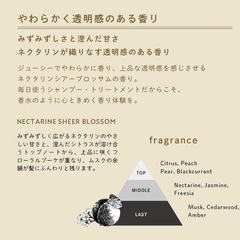 ディープレイヤーシャンプーの画像