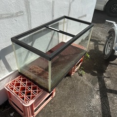 90センチ水槽、砂利！の画像