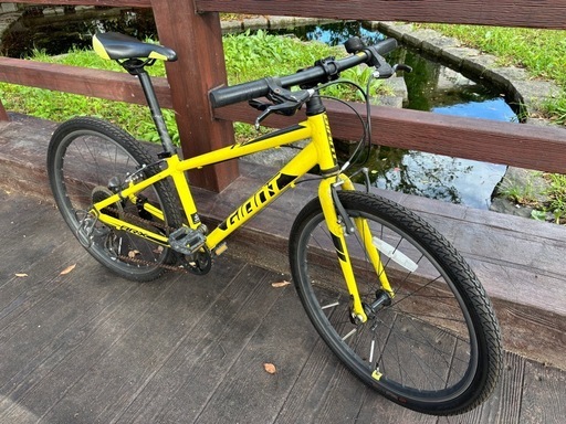 【giant】ハイスペックジュニアバイク ARX24