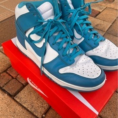 NIKEダンクシューズの画像
