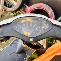 ホンダDIO AF62の画像