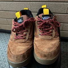 🥾VANS(25センチ)やや難ありの画像
