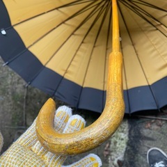 傘　イエローの画像