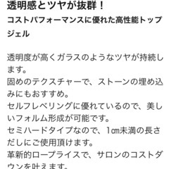 レイジェルトップの画像