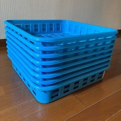 クワガタ飼育用品　の画像