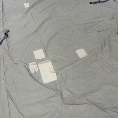 トラックシートの画像