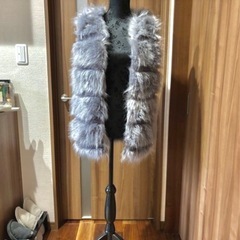 ファーベストの画像