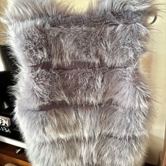 ファーベストの画像