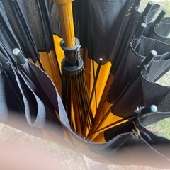 傘　イエローの画像