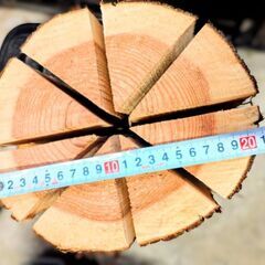 スウェーデントーチ　大の画像