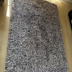 ラグの画像