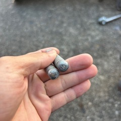 ハブステップの画像