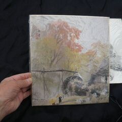 玉堂美術館の色紙2枚 長期保管品 透明袋入り 取りに来ていただける方 受け渡し日時自由の画像