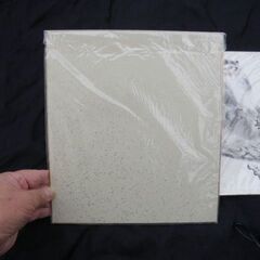 玉堂美術館の色紙2枚 長期保管品 透明袋入り 取りに来ていただける方 受け渡し日時自由の画像