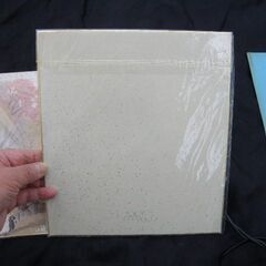 玉堂美術館の色紙2枚 長期保管品 透明袋入り 取りに来ていただける方 受け渡し日時自由の画像