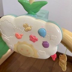 プーメリーの画像