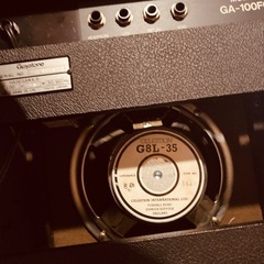 真空管　guyatone FLIP100FC  の画像
