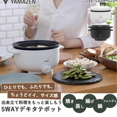 YAMAZEN 5WAYデキタテポット
の画像