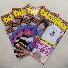 山﨑賢人グッズの画像