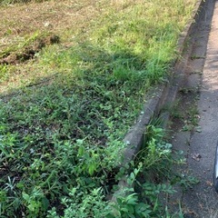 土を差し上げますの画像