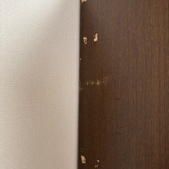 至急　処分予定　収納棚の画像