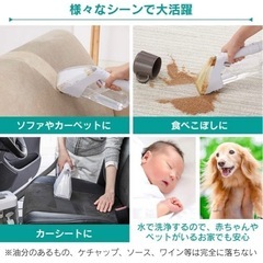 ◆カーペットを水洗いできるクリーナーしかく◆アイリスオーヤマ　の画像
