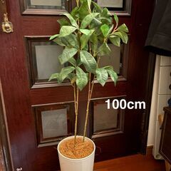 フェイク観葉植物 高さ色々　四つの画像