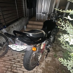 バリオス250二型！の画像