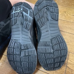 10月末購入、ワークマンスニーカーセット（24.5㎝、26㎝）の画像