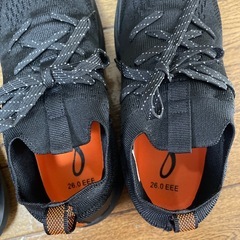 10月末購入、ワークマンスニーカーセット（24.5㎝、26㎝）の画像