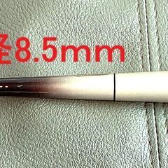 №20、投げ竿 Alpha tackieやしお　硬調21の画像