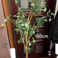 フェイク観葉植物 高さ色々　四つの画像