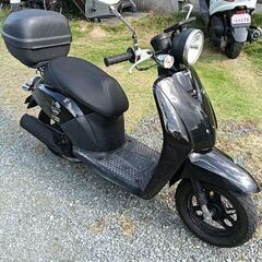 トゥデイ　AF61 自賠責8年7月まで付の画像