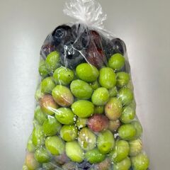 153：オリーブの実狩り　１袋300円！！の画像