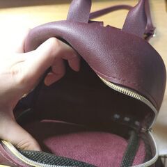 【中古品】ミニリュックの画像