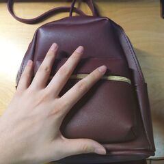 【中古品】ミニリュックの画像