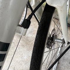 ビアンキ　
ローマの画像