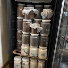 ワインセラー クワガタ飼育 温室の画像